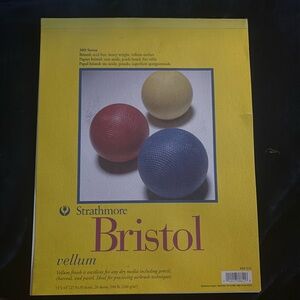 Strathmore Bristol canvas paper.